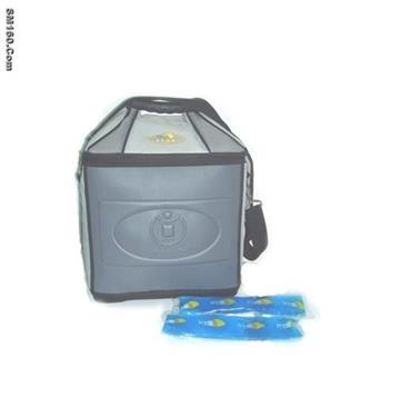 (HT-EVA-12) EVA pharmaceuticals carrier with cold source, no need elec