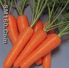 beta-carotene(sophie@healthynaturalcolor.com)