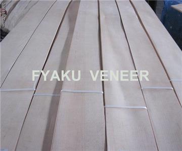 Hard Maple Veneer 