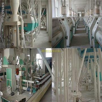 large style complete wheat flour milling machine 100ton/24h
