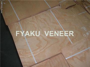 Ash Burl Veneer