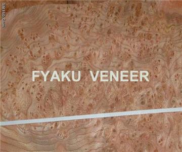 Elm Burl Veneer