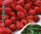 raspberry extract