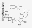 URIDINE 5'-TRIPHOSPHATE TRIS SALT   