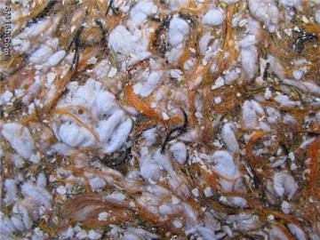 YISENNI liquid wallpaper improves your home's fashion