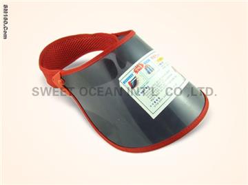 Sun Visor