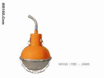 explosion proof light