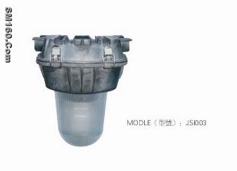 explosion proof light