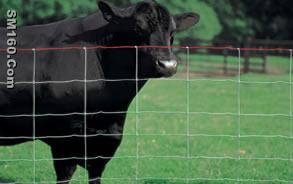 HIGH TENSILE WIRE FENCE