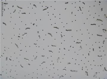  Sound absorption ceiling insulation