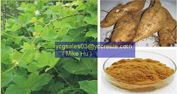Kudzu Root P.E.; Puerariae Extract