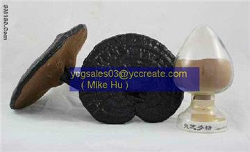 Lucid Ganoderma P.E.; Reishi Mushroom P.E.