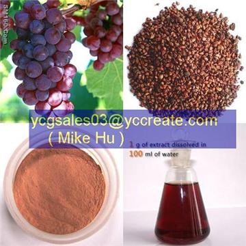 Grape Seed P.E. (CAS No: 84929-27-1)