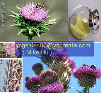 Milk Thistle P.E.; Milk Thistle Extract