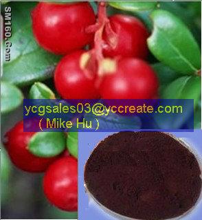 Cranberry P.E., Cranberry Extract