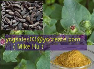 Burdock Seed Extract 40% Arctiin Power