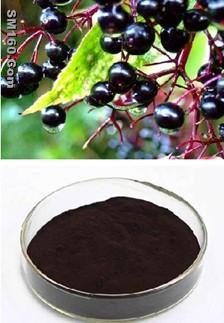 Elderberry Extract
