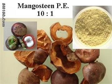 Mangosteen peel extract P.E. (plant extract)