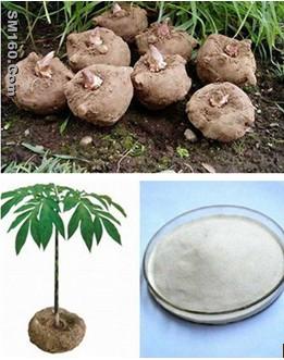 Konjac Flour Extract, 90% KonjacMannan