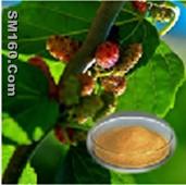 Mulberry Leaves Extract, 1-DNJ