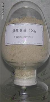 Kelp Extract Powder for Food Grade