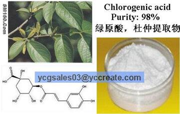 Chlorogenic acid 98%, natural extract