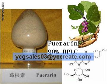 Puerarin 90%, natural extract