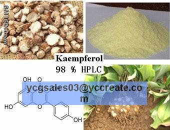 Kaempferol 98%, natural extract
