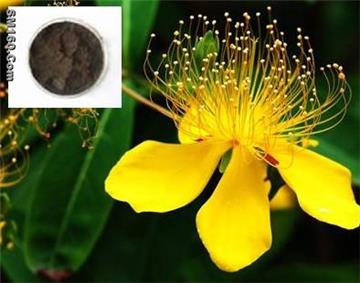 Hypericin, St. John's Wort Extract