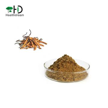 China factory cordyceps sinensis extract powder CS-4