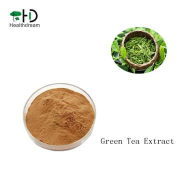 Manufacture Supply Green Tea Leaf Extract EGCG 25% 40% 50%,EGCG Green Tea Lea Powder