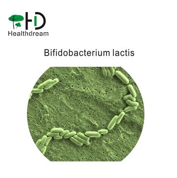 Bifidobacterium lactis