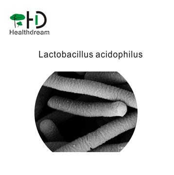 Lactobacillus acidophilus