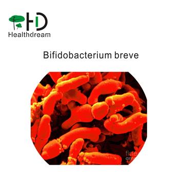 Bifidobacterium breve