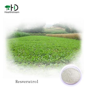 2018 best selling Natural Polygonum Cuspidatum  root extract HPLC 98% with low price