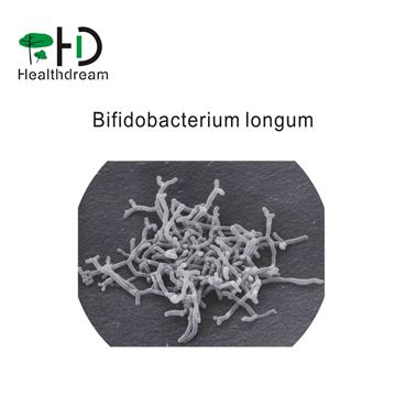 Bifidobacterium longum
