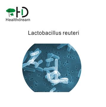 Lactobacillus reuteri