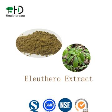 Siberian Ginseng Extract/Eleuthero Extract /Eleutherococcus Senticosus Root Extract20:1