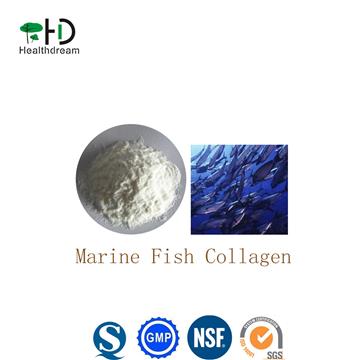 Marine Fish Collagen Powder,Raw Material Collagen