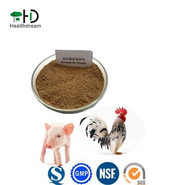 Enramycin Premix 8%CAS11115-82-5 Veterinary Medicine for Pig and Chicken