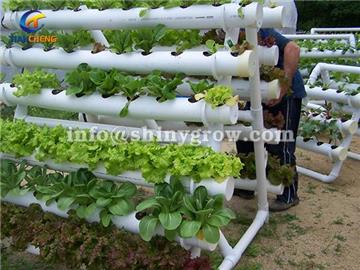 NFT Hydroponic Gardening System for Strawberry &amp; Lettuce Growing