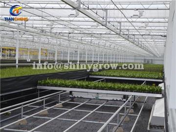 Shuttle Rolling Bench System - Greenhouse Automation Solution