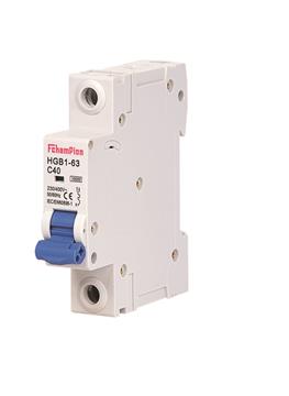 Fchampion HGB1-63 Miniature Circuit Breaker