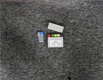 Saturating Dye for LAMP