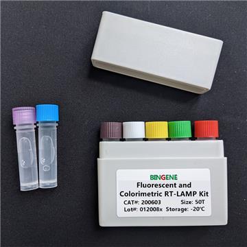 Fluorescent and Colorimetric RT-LAMP Kit