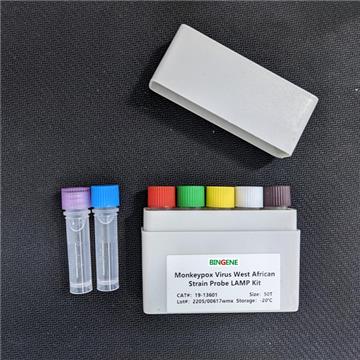 Monkeypox Virus LAMP kit