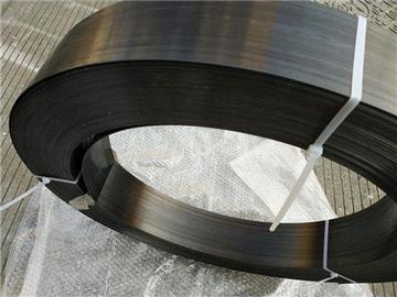 Carbon fiber reinforced panel