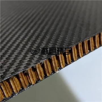 Customized carbon fiber sandwich panel
