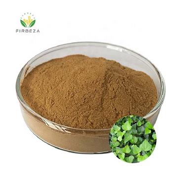 Factory Supply Pure Natural 10:1 Ivy Leaf Extract Powder
