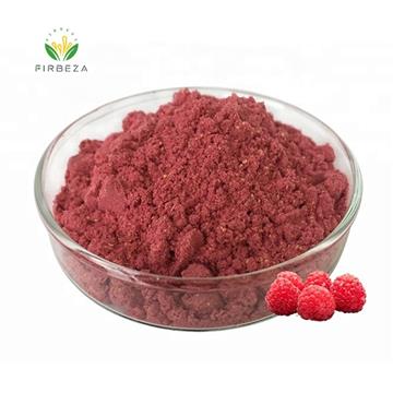 Bulk Freeze Dried Raspberry Extract Powder